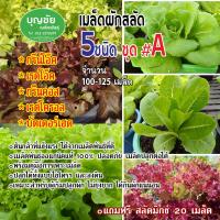 เมล็ดพันธุ์/เมล็ดพันธุ์พืช/เมล็ดผัก/เมล็ดผักสลัด 5 ชนิด ชุดA (กรีนโอ๊ค-เรดโอ๊ค-กรีนคอส-เรดโครอล-บัตเตอร์เฮด) อย่างละ 50 เมล็ด  (ซื้อ5แถม1)