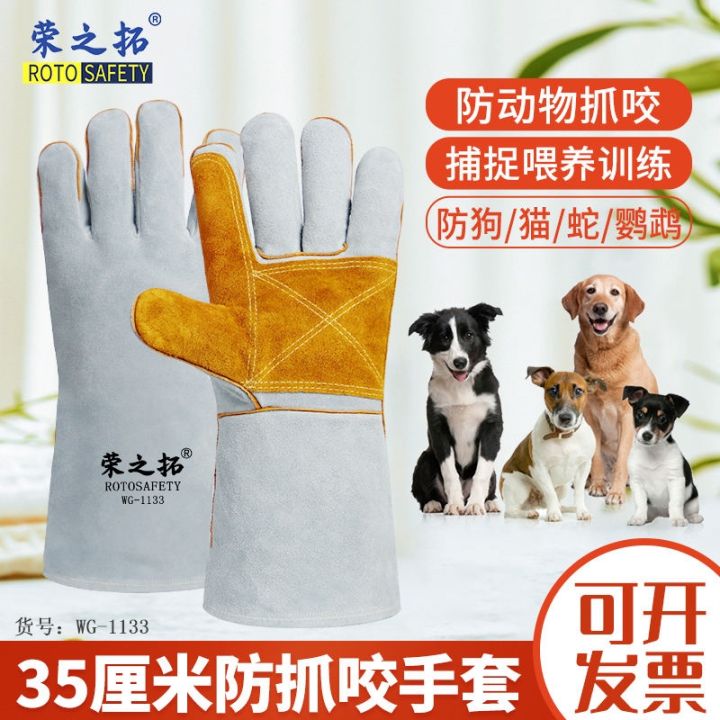 high-end-original-squirrel-anti-bite-cowhide-gloves-demon-king-anti-scratch-hedgehog-thickened-pet-training-groundhog-long-squirrel-supplies