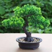 Cây Cảnh Hoa Nhân Tạo Cây Xanh Cây Giả Zen Chậu Hoa Trong Chậu Cây Thông
