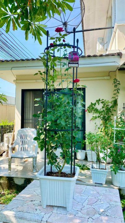 ขาว-โครงไม้เลื้อย-โครงกุหลาบ-rose-arch-rose-trellis-ivy-arch-climbing-plant-support-cage-garden-trellis-flowers-stand-rings-tomato-support-durable-creative-adjustable-climbing-vine-racks-white-color