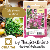 CTFW เมล็ดพันธุ์ ผีเสื้อ ประมาณ 400 เมล็ด ตราเจียไต๋ Dianthus