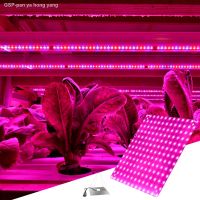 ☆ ไฟ Led Grow โคมไฟในบ้านเต็มรูปแบบสำหรับ Phytolamp