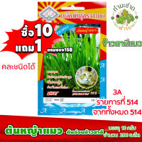 (ซื้อ10แถม1) เมล็ดพันธุ์ ต้นหญ้าแมว ข้าวสาลีแมว Wheat grass ประมาณ 200เมล็ด 3A สามเอ ผักสวนครัว เมล็ดพันธุ์พืช เมล็ดผัก เม็ดผัก พืชผัก