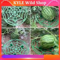 KYLE Wild Shop 5pcs Watermelon Stand basket Frame Holder Plant Tray Fruit Support Rack Vegetables Gardening Stand Garden Tools