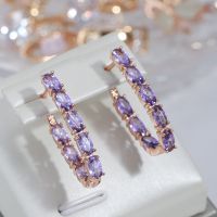 Luxury Full Claw Oval Purple Zircon Metal Earrings Rose Gold Plated Ear Drop Statement Jewelry Women Party Wedding Accessories