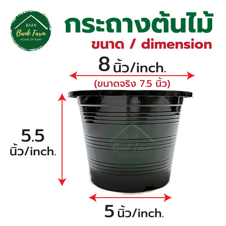 จานรองกระถาง8-นิ้ว-สีดำ-1-10ใบ-จานรองกระถางราคาถูก-จานรองกระถางพลาสติก-จานรองต้นไม้-l-บ้านแบงค์ฟาร์ม