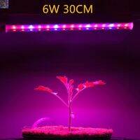 [สินค้าใหม่]ชุดหลอดไฟLED T5 ไฟ Grow Light 6W 30CM 220V ไฟปลุกต้นไม้ ไฟช่วยต้นไม้ตัวเร็ว แถมสายไฟ220V1.8เมตรให้ 1/PCS