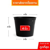 สินค้าแนะนำ?  กระถางต้นไม้ กระถางต้นไม้พลาสติก กระถางกระบองเพชร สีดำ 4 นิ้ว