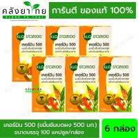 Curmin 500 KHAOLAOR ขาวละออ  เคอร์มิน 500 ขมิ้นชัน Turmeric Curcumin 100 Capsules X 6 Bottles