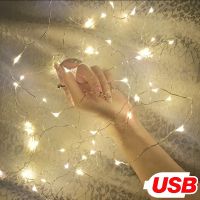 USB LED Copper Wire String Fairy Light Night Lighting Lamp Xmas Party Room Decor Hari Raya