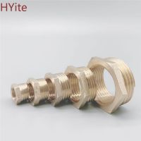 Brass Hose Fitting Hex Reducer Bushing M/F 1/8 1/4 3/8 1/2 3/4 BSP Male to Female change Coupler Connector Adapter