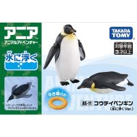 Takara Tomy Ania Animal Advanture As-11จักรพรรดื Should BE Spelling As Nicer Edition 2ชิ้นหุ่น Abs รูปมหาสมุทรของเล่นเพื่อการศึกษาเด็ก