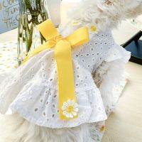 Sweet Princess Dog Dress Summer Bowtie Pet Clothes Luxury Hollow Puppy Skirt Flying Sleeve Wedding Dresses For Small Dogs Yorkie Dresses