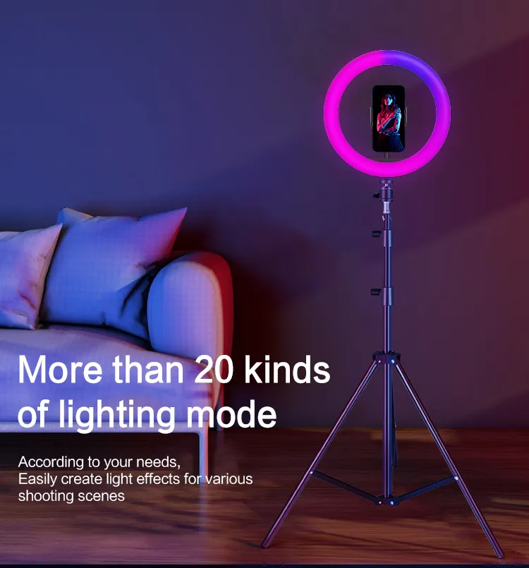 Ring Light Laptop Video Conference Light, LED Ring Light with Tripod and  Phone Holder for Phone