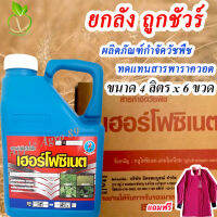 ยกลัง ถูกชัวร์ กลูโฟซิเนต น้ำ1 (สีฟ้า) ขนาด 4 ลิตร x 6 ขวด กลูโฟซิเนท กลูโฟ กูโฟซิเนต กูโฟซิเนตยกลัง กลูโฟเอ็กซ์