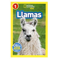 English original National Geographic Kids level 1: llamas Alpaca National Geographic graded reading materials phase I full-color English Enlightenment Animal Science Encyclopedia