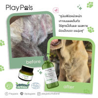 Playpals Pet Balm บาล์มทาบรรเทาแผลสุนัข ลดแสบ ลดคัน ลดบวม ลดแดง