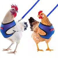 Poultry Training Belt Pet Traction Harness Leash Chicken Duck Traction Rope Breathable Chicken Vest Chest Strap Walking Belt Leashes