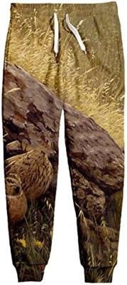 VIZANLY Hunting Partridge 3D Printing Mens and Womens Fashion Spring Trousers Street Sweatpants 01 M