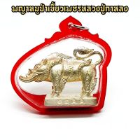 LE3-KOพญาหมูป่าเขี้ยวเพชร เนื้อเงิน หลวงปู่กาหลง วัดเขาแหลม สุดยอดเครื่องรางที่ใช้ในด้านคงกระพันชาตรี ป้องกันภัย จากอันตรายทั้งคนและผี