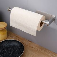 Convenient Stainless Steel Paper Towel Holder Wall Mount or Under Cabinet