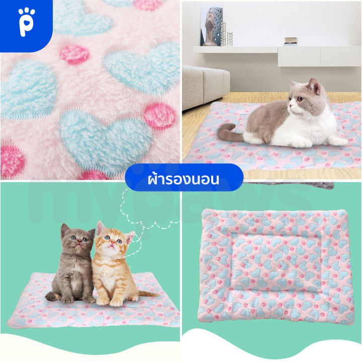 my-paws-ชุดสัตว์เลี้ยงลายหัวใจต้อนรับวาเลนไทน์-ผ้าผูกคอวาเลนไทน์