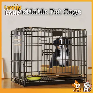 Poodle cage sale