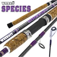 คันหน้าดิน คันตกปลาหน้าดิน WEEBASS ROD รุ่น SPECIES