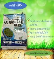 คาร์ปิโน่85 ดับบิวพี (copina 85 wp)ชื่อสามัญ : คอปเปอร์ออกซีคลอไรด์ (copper oxychloride) 1Kg.