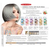 Carebeau Pastel Hair Color Cream แคร์บิว พาสเทล แฮร์ คัลเลอร์ ครีม มี 6 เฉดสี 100g (2 กล่อง)