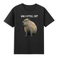 Capybara Ok I Pull Up Capybara Animal O-Neck Cotton T Shirt Men Casual Short Sleeve Loose Tshirt Dropshipping