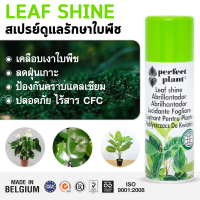 Perfects Leaf Shine สเปรย์ฉีดใบมัน เคลือบเงาใบไม้ สเปรย์ดูแลรักษาใบพืช 200ml