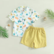 1-5y trẻ em Cậu bé Quần áo Bộ đồ mùa hè tay ngắn O cổ khủng long nút Tops