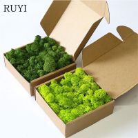 hot【cw】 Artificial Moss / Garden Decoration Wall Material Landscape Accessories