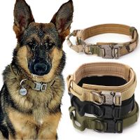 【YF】 Dog Training Collar Adjustable And Leash Set Handle Lead Small Big Dogs