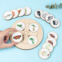 Life Cycle Board Montessori Kit Biology Science Education ของเล่นสำหรับเด็ก Sensory ถาดรูปสัตว์ Life Cycle Sorting ของเล่นไม้