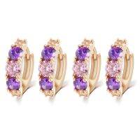 2X New Arrival Women Zircon Earrings Pendant Hoop Earrings Female -Purple