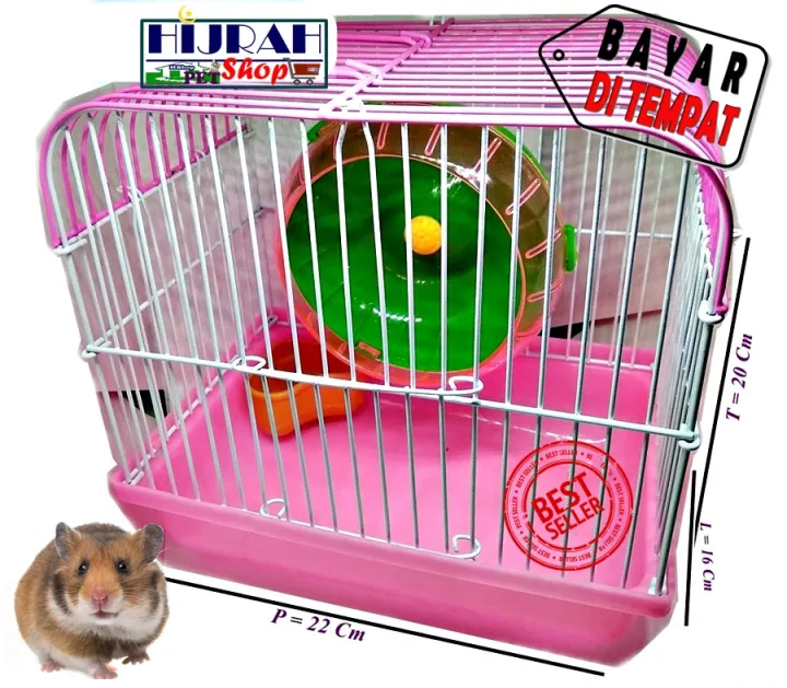 Live Sex Cams Hamster - Kandang Hamster Kandang Mini Kandang Hamster Murah Kandang Tupai Kandang  Marmut Landak Mini Sugar Glider Murah Meriah Unik Lucu - Warna Pink -  Hijrah Pet Shop | Lazada Indonesia