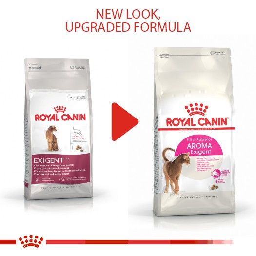 หมดกังวน-จัดส่งฟรี-royal-canin-exigent-aromatic-อาหารแมวโต-แมวกินอาหารยาก-เลือกกิน-ชอบกลิ่นหอม-อาหารแมว-ขนาด-2-kg-และ-4-kg-บริการเก็บเงินปลายทาง
