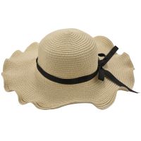 Summer New Summer adult Floral Straw Hats Fedora Hat Womens Visor Beach Sun Girls Sunhat Wide Brim Floppy Panama For Women