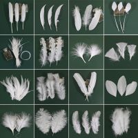 20pcs/Lot White Rooster Goose Pheasant Feathers For Crafts Chicken Duck Peacock Feather Decor Ostrich Feathers For Needlework