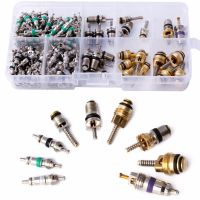 【YY】134Pcsset Car R134A AC Auto Air Conditioning Valve Core with case for Car Tire Assortment High Quality C45