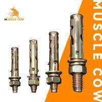 MUSCLE COW พุกเหล็ก (สตั๊ดโบล์ท) ปุ๊กเหล็ก ขนาด 1/4 , 5/16 , 3/8 , 1/2 , ชุบรุ้งป้องกันสนิม หกเหลี่ยม มีเขี้ยว