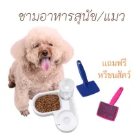 KDO แปรงหวีขน (มีที่ใส่อาหารและหวีขนสัวต์ขาย) ที่ใส่อาหาร ชามอาหารเข้ามุม ที่ใส่อาหารหมา ที่ใส่อาหารแมว ชามใส่น้ำ แปรงหวีขนสัตว์ แปรงหวีขนสัตว์ แปรงหวีขนสุนัข