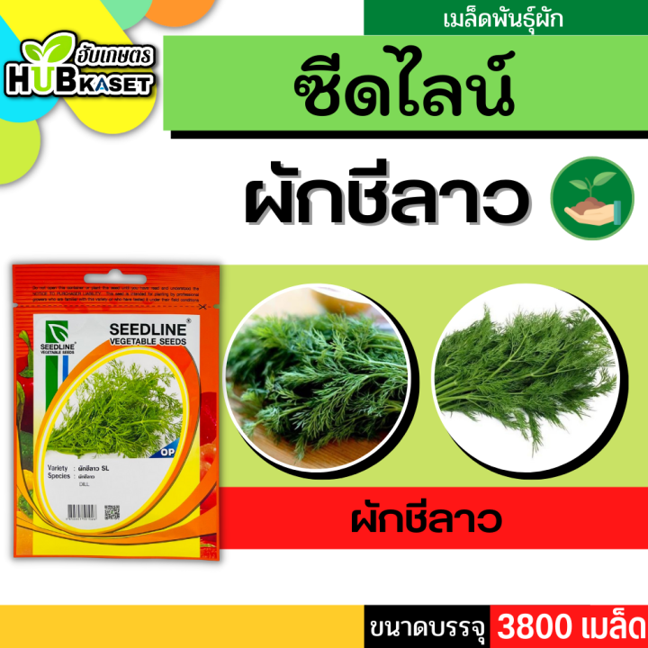 ซีดไลน์ 🇹🇭 ผักชีลาว SL ขนาดบรรจุประมาณ 3800 เมล็ด