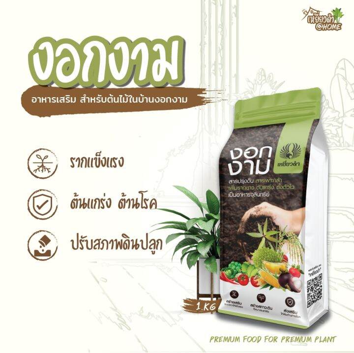 งอกงาม-ขนาด-1-กิโลกรัม-ตราเหยี่ยวดำ