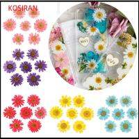 KONSIRAN 12PCS/Bag งานฝีมือ DIY แต่งหน้า เดซี่ดอกไม้ประดิษฐ์ กด ศิลปะ การทำเครื่องประดับ