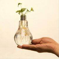 Clear Glass Vase Bulb Stylish Hydroponic Gardening DIY Combination Home Decoration Room Decor