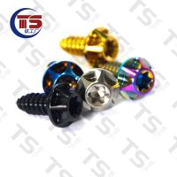 TSTitanium M5/M6X15/20/25mm Titanium alloy self tapping flange head Motorcycle Bike Car Shell Decorative Screws Five colors(1pc)