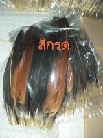 ปีกไก่ชน สีเเดงกรด